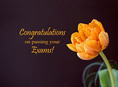 congratulations message for passing exams